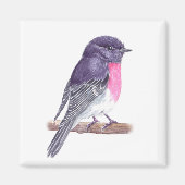 Robin Magnet (Vorne)