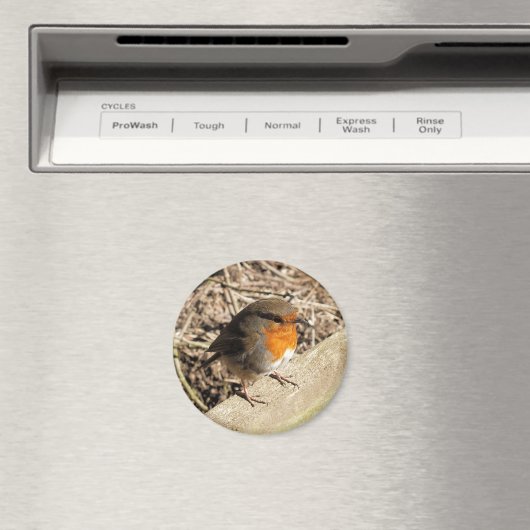 ROBIN MAGNET (In Situ (Geschirrspüler))