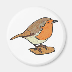 Robin Magnet