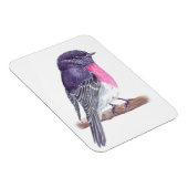 Robin Magnet (Rechte Seite)