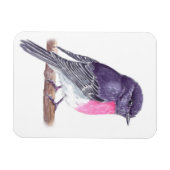 Robin Magnet (Horizontal)