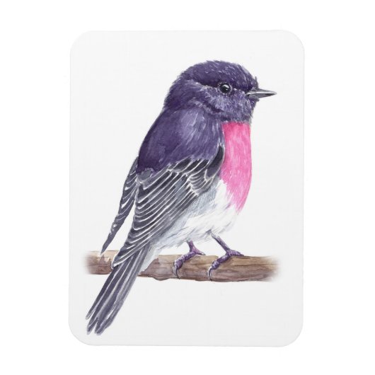 Robin Magnet (Vertikal)