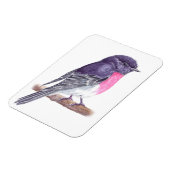 Robin Magnet (Linke Seite)