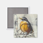 Robin Magnet (Vorderseite/Rückseite)