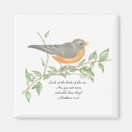 Robin Magnet (Vorne)