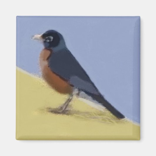 Robin Magnet (Vorne)