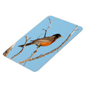 Robin Magnet (Linke Seite)