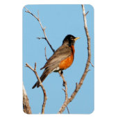 Robin Magnet (Vertikal)