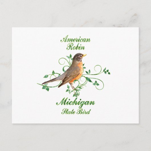 Robin Michigan Staat Bird Postkarte (Vorderseite)