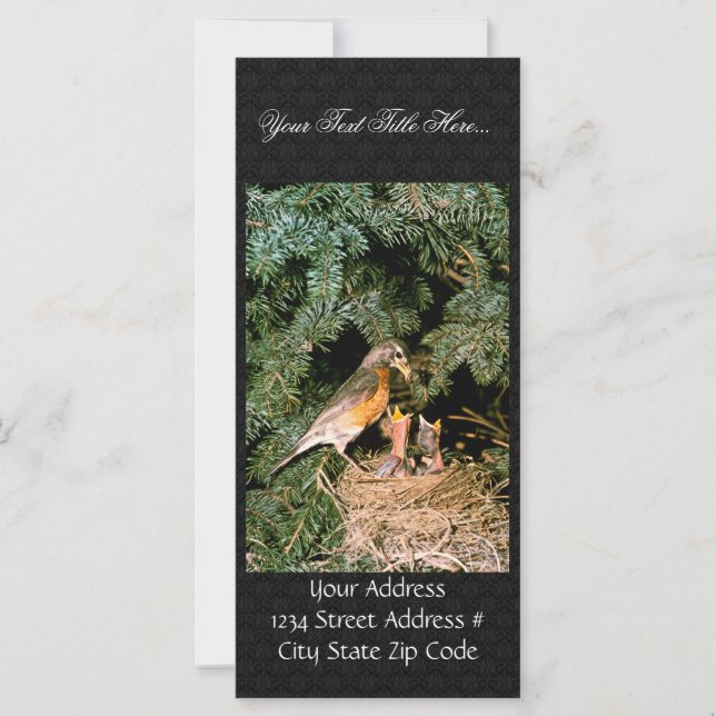 Robin mit Chicks (Vorderseite)