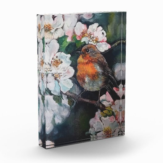 Robin mit Kirschblüte Fotoblock (Links)