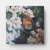 Robin mit Kirschblüte Fotoplatte (Vorderseite)