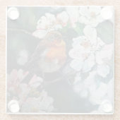 Robin mit Kirschblüte Glasuntersetzer (Rückseite)