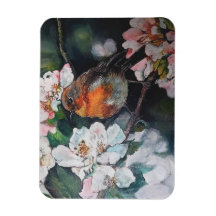 Robin mit Kirschblüte