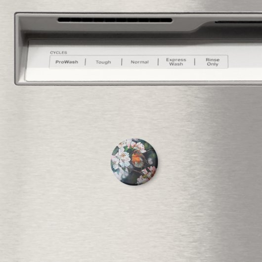 Robin mit Kirschblüte Magnet (In Situ (Geschirrspüler))