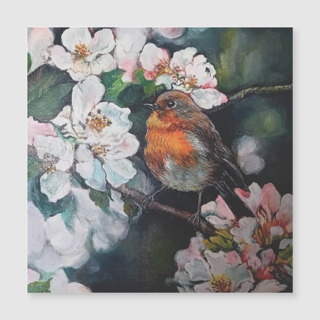 Robin mit Kirschblüte Magnetkarte (Vorderseite)