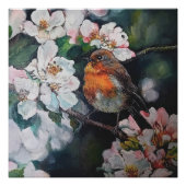 Robin mit Kirschblüte Poster (Vorderseite)
