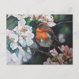 Robin mit Kirschblüte Postkarte