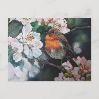 Robin mit Kirschblüte Postkarte