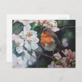 Robin mit Kirschblüte Postkarte (Vorne/Hinten)