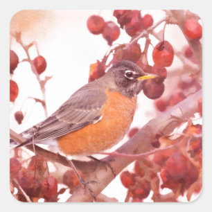 Robin mit roten Berries Quadratischer Aufkleber