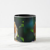 Robin mit Samen Tasse (Zentrum)