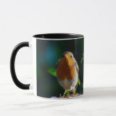 Robin mit Samen Tasse (Links)