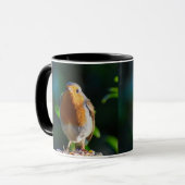 Robin mit Samen Tasse (Vorderseite Links)