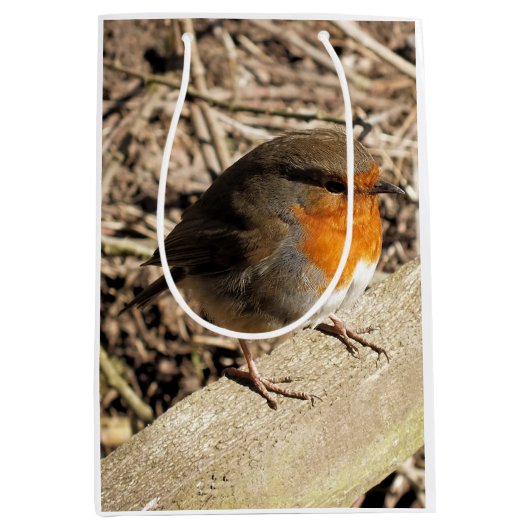 ROBIN MITTLERE GESCHENKTÜTE (Vorderseite)