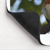 Robin Mousepad (Ecke)