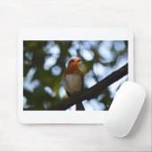 Robin Mousepad (Mit Mouse)