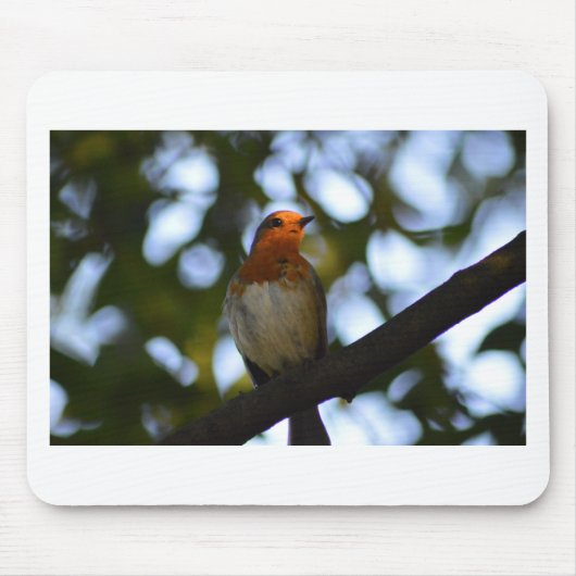 Robin Mousepad (Vorne)