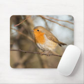 Robin Mousepad (Mit Mouse)