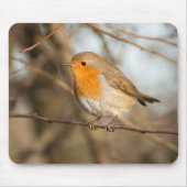 Robin Mousepad (Vorne)