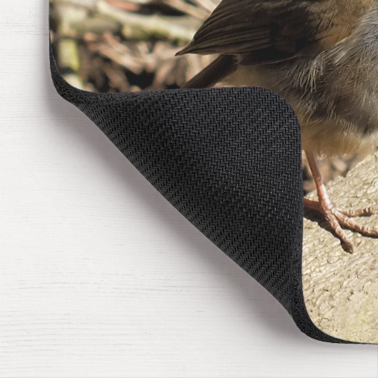 ROBIN MOUSEPAD (Ecke)