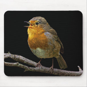 Robin Mousepad