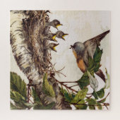 Robin-Muttervogel, der im Nest Bruchling füttre Puzzle (Horizontal)