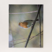 Robin Nature Foto Jigsaw Puzzle (Vertikal)