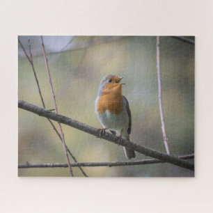Robin Nature Foto Jigsaw Puzzle