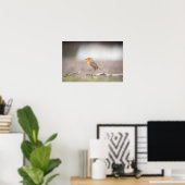 Robin Nature Foto Poster (Heimbüro)