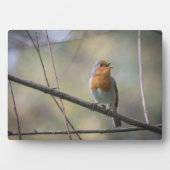 Robin Nature Foto singen Fotoplatte (Vorderseite)