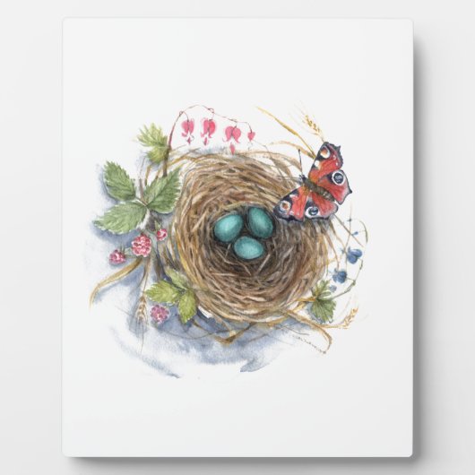 Robin Nest Fotoplatte (Vorderseite)