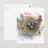 Robin Nest Postkarte (Vorne/Hinten)