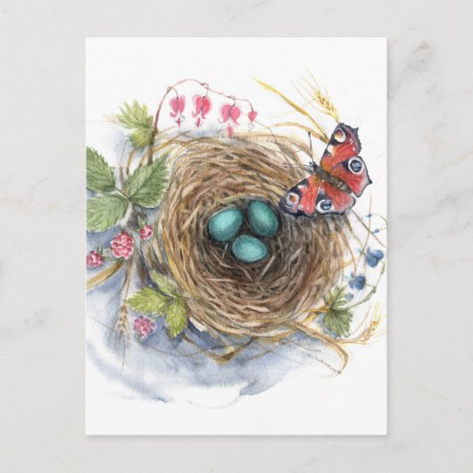 Robin Nest Postkarte (Vorderseite)