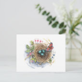 Robin Nest Postkarte (Stehend Vorderseite)