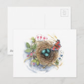 Robin Nest Postkarte (Vorne/Hinten)