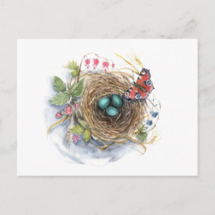Robin Nest Postkarte