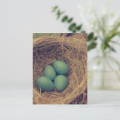 Robin Nest und Eier Postkarte (Stehend Vorderseite)