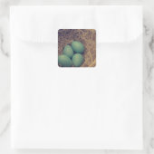 Robin Nest und Eier Quadratischer Aufkleber (Tasche)