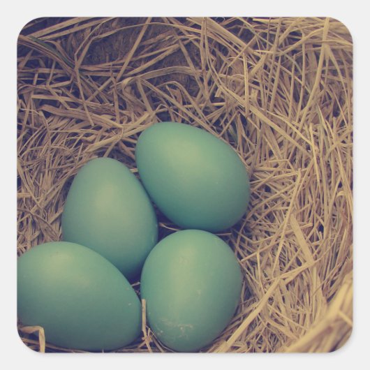 Robin Nest und Eier Quadratischer Aufkleber (Vorderseite)